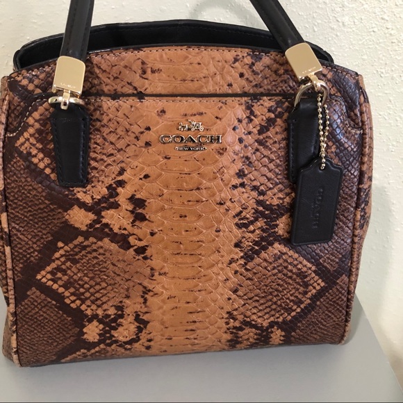 Coach Brown and Black Snakeskin Bag - Picture 6 of 14